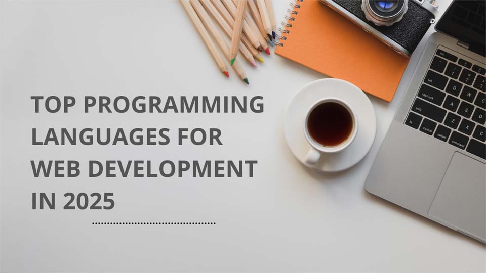 Top Programming Languages for Web Development in 2025