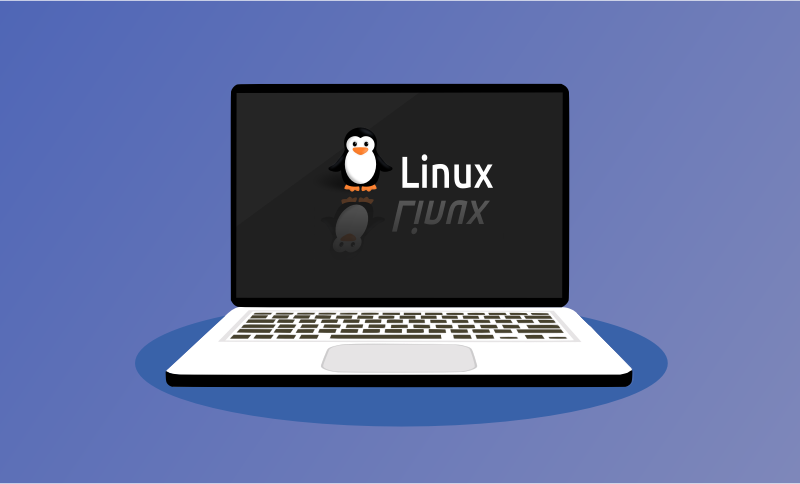 lightweight linux distros